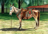 Donkey and Mule Art - Trail Riding Mule